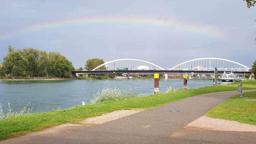 20149_10_Offenburg-022