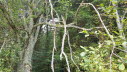 20149_10_Offenburg-029