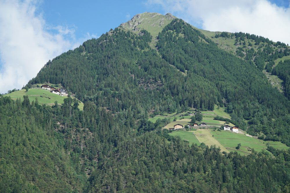 DSC04562