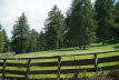 DSC04618