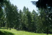 DSC04620