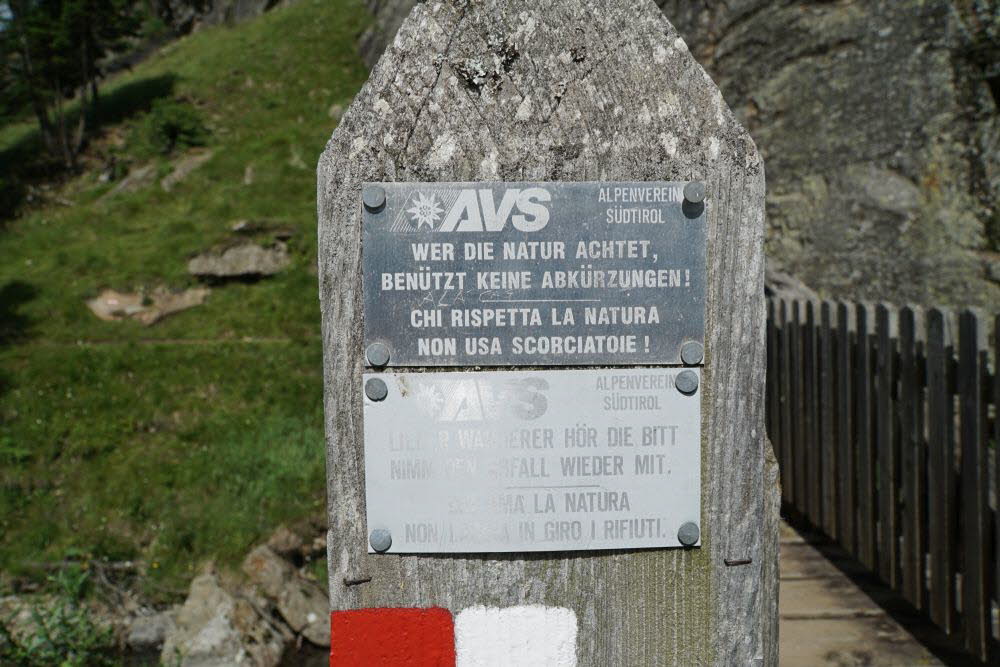DSC04684