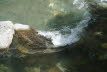 DSC04686