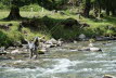 DSC04696