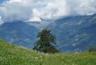 DSC04751