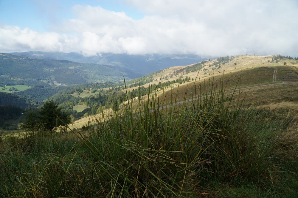 DSC05528