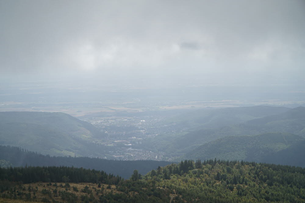 DSC05536