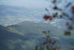 DSC05542