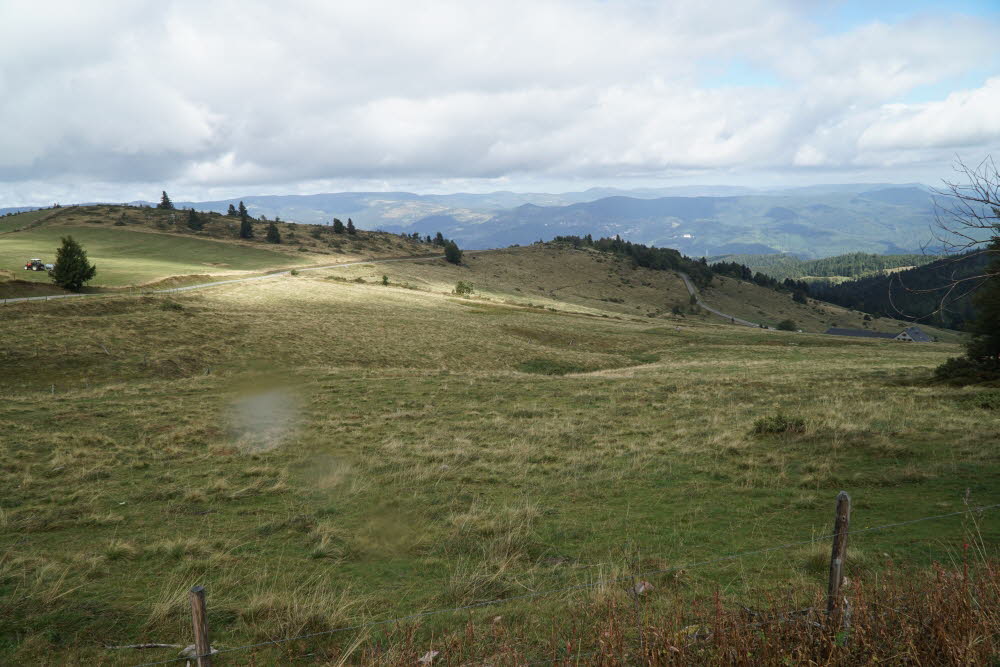 DSC05545