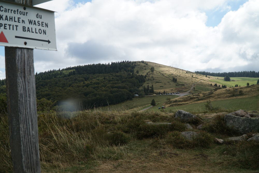 DSC05550