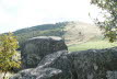 DSC05556