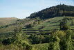DSC05576