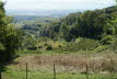 DSC05578