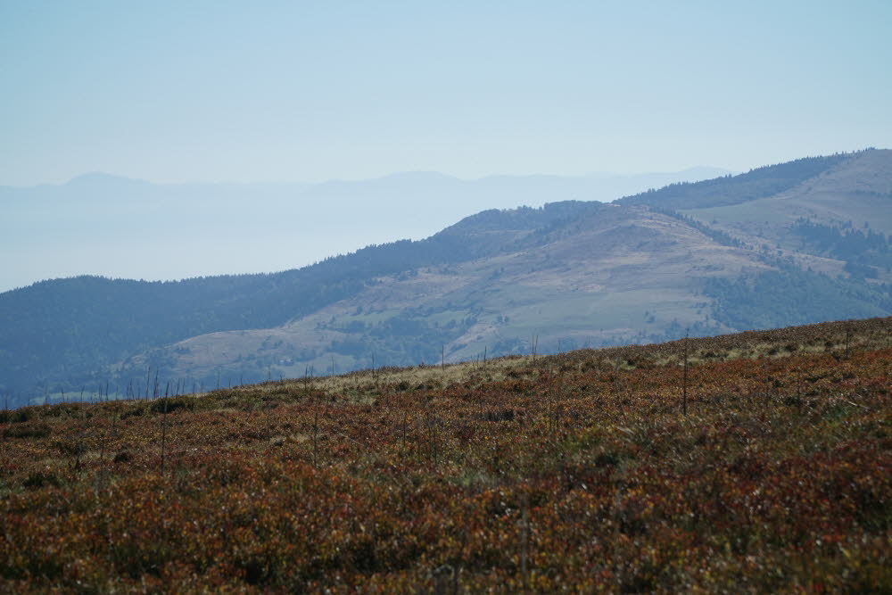 DSC05595