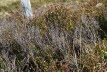 DSC05607