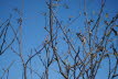 DSC05608