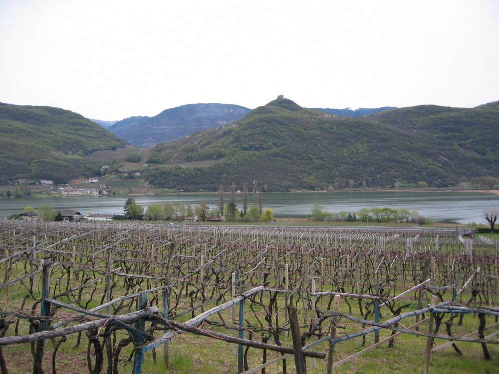 2003