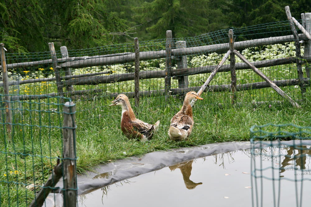Kaltern06_2007-063