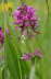 Kaltern06_2007-067