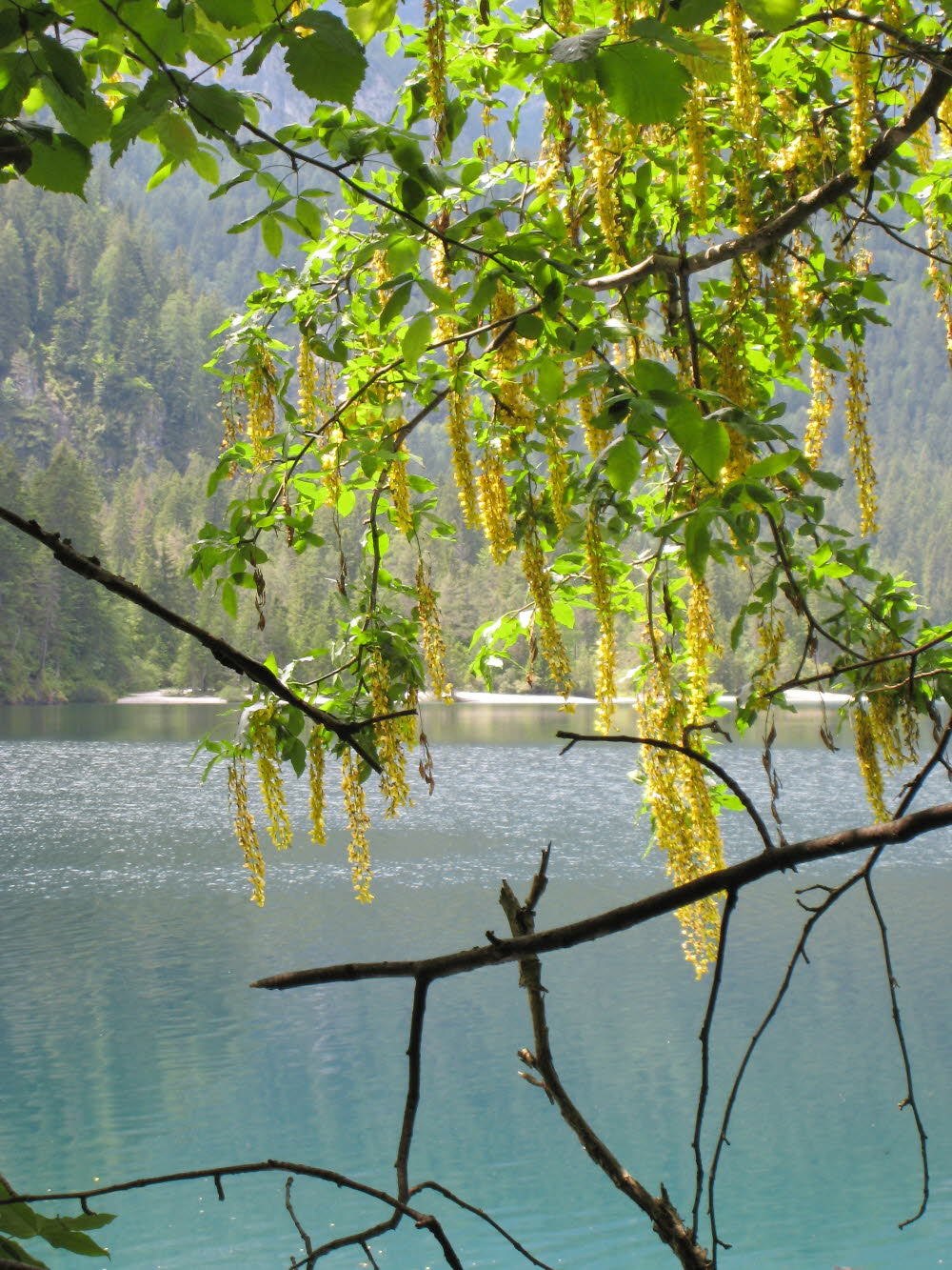 Kaltern06_2007-112
