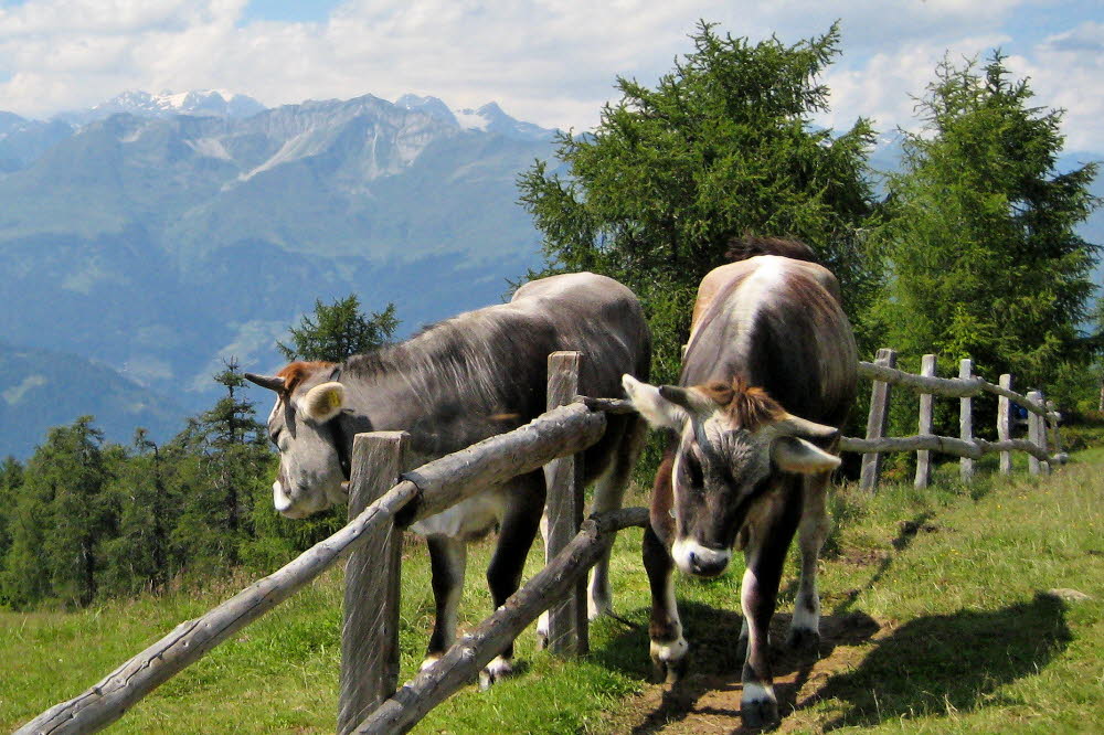 Kaltern06_2007-272
