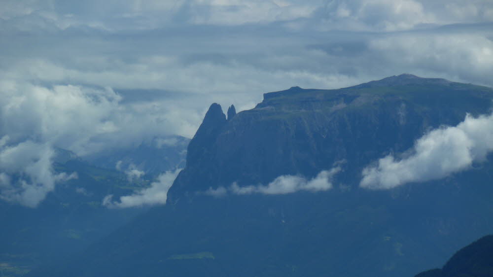 P1000558