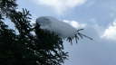 P1010104