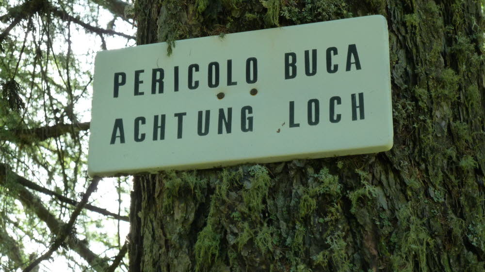 P1010493