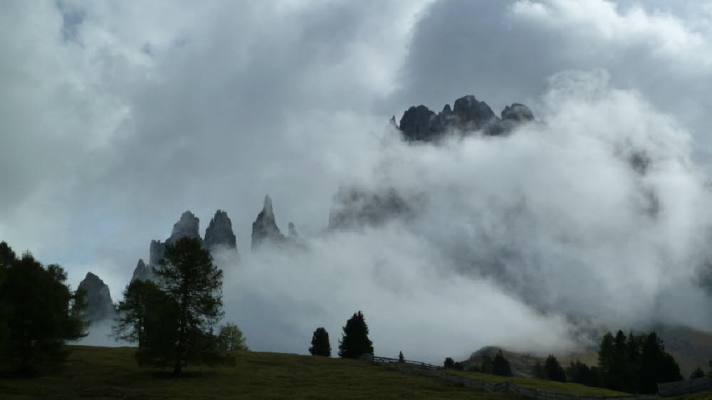P1020873