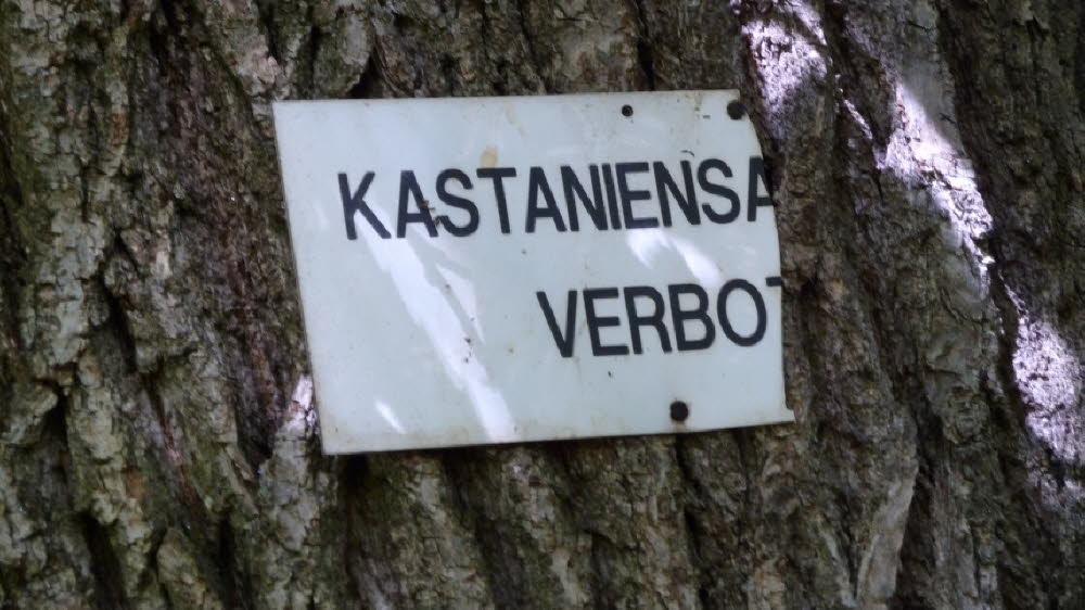 P1020892