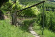 Tirol_2015_06-11