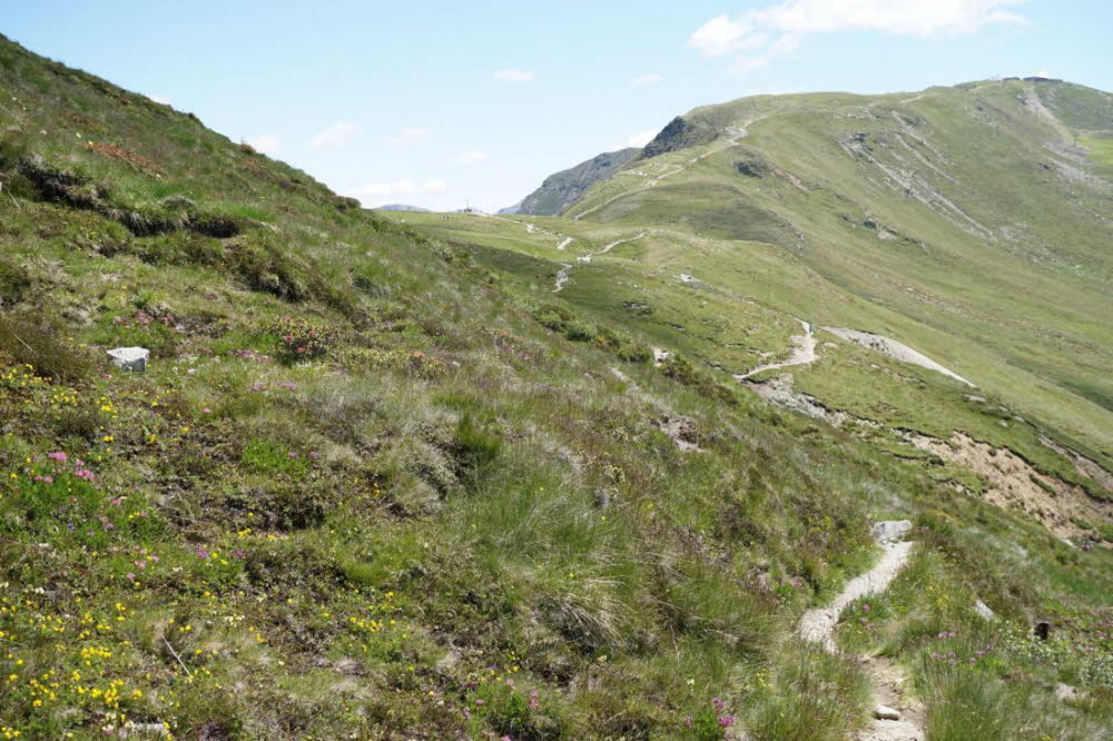 Tirol_2015_06-120