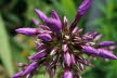 Tirol_2015_06-242